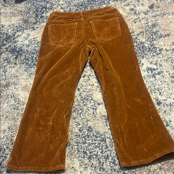 Universal Thread Rust Corduroy Pants | Ankle Bootcut | Size 10/30R - Picture 3 of 4